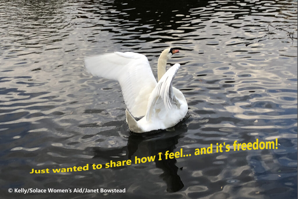 Swan spreading her wings